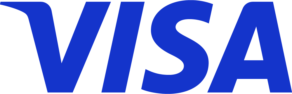 Visa icon